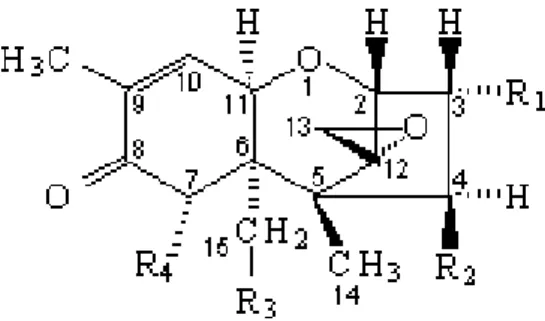 Figura 1 - Estrutura química dos tricotecenos tipo B, grupo que inclui a micotoxina  desoxinivalenol (DON)