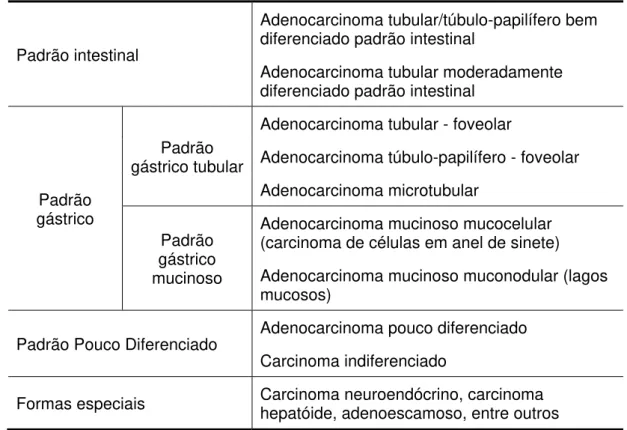 Tabela 4: Classificação histológica dos adenocarcinomas gástricos,  SBP2005 adaptada para esta tese 