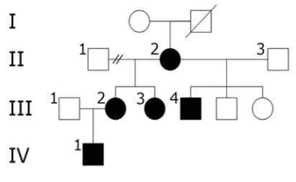Figura 1 – Heredograma construído a partir do paciente (III:4) com síndrome ADULT.  Os  indivíduos afetados representam o padrão de herança autossômica dominante com penetrância variável.