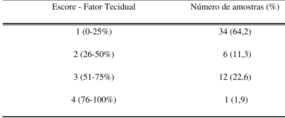 Tabela  10  .  Expressão  do  fator  tecidual  em  espécimes  de  carcinoma  epidermóide de boca