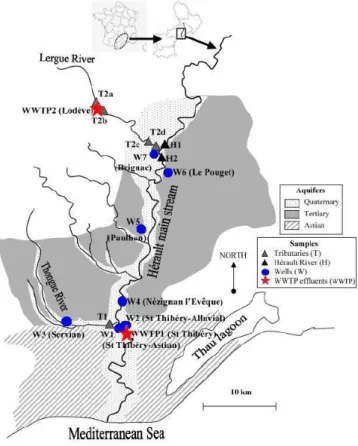 Figura 2.1. Localização das captações de água de abastecimento (W) e das 