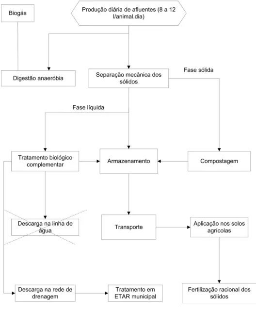 Figura 5.6 - Modelo integrado de gestão e tratamento de efluentes de suinicultura (Bicudo, et  al., 1996)