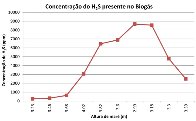 Figura 3.5  –  Variação da concentração de Sulfidríco presente no biogás e m  função da altura  de maré