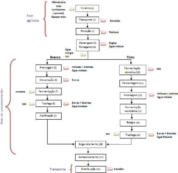 Figura 2.4 – Processos de produção de vinho tinto e branco (Adaptado de Rodrigues et al., 2006; Infovini,  2014) 