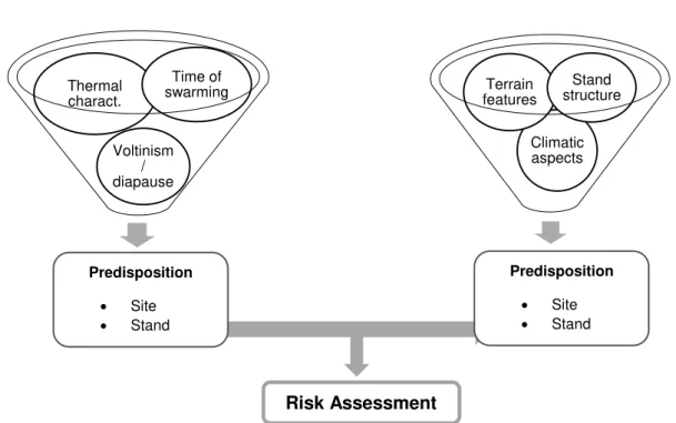Figure 1.3 RA structure for the study of bark beetle outbreaks (adapted from Netherer et al