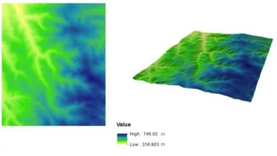 Figure 2.3 TIN (left) and DEM (right) of the Rosalia forest stand area viewed in ArcScene