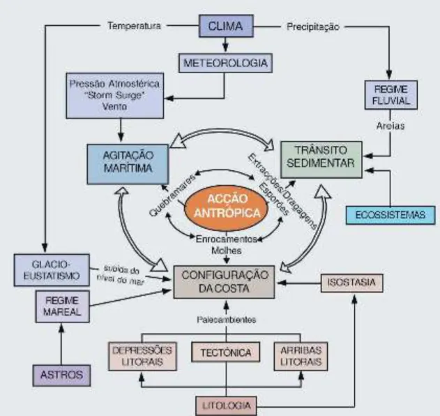 Figura 3.  Ações, retroações e Interações com maior  impacto na dinâmica costeira e impactes  das intervenções antrópicas (Ribeiro, 2001)