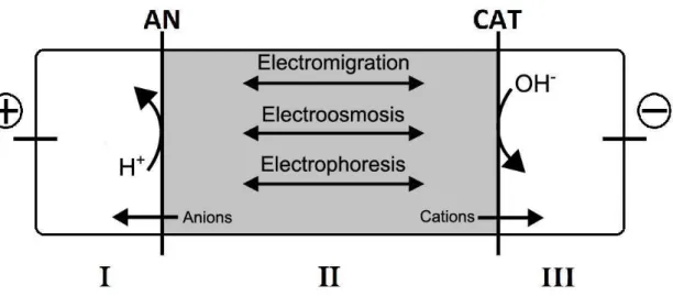 Figure 2.6 Schematic presentation of the ED principle in a 3 compartment cell. I - anode  compartment; II - central compartment; III - cathode compartment (Magro 2014) 