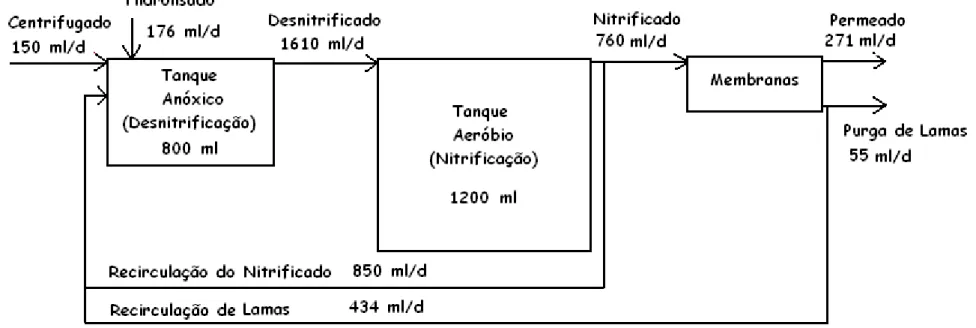 Figura 2.15 7 Diagrama da unidade piloto e dos fluxos de águas residuais e lamas nos ensaios I, II e III (fonte de Carbono: Hidrolisado crivado a 150 Xm)