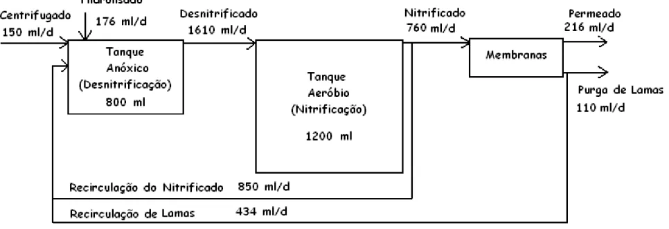 Figura 2.16 7 Diagrama da unidade piloto e dos fluxos de águas residuais e lamas no ensaio IV (fonte de Carbono: Hidrolisado crivado a 150 Xm)