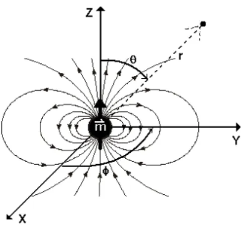 Figura 7 - Um simples dipolo com momento magnético alinhado na direção z.  