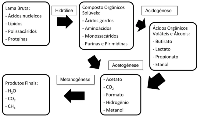 Figura 2.1 – Diagrama simplificado das reações presente no processo de digestão anaeróbia (adaptado de  Lapa, 2014; Turovskiy e Mathai, 2006) 
