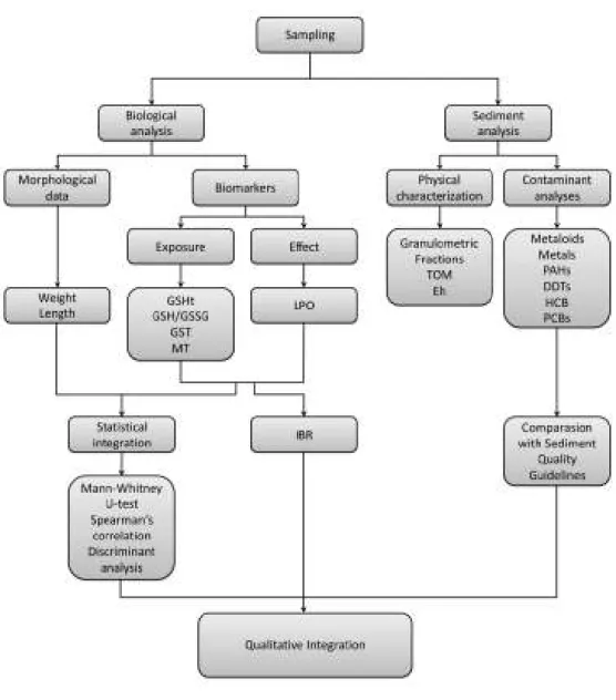 Fig. 1.2. Research layout 