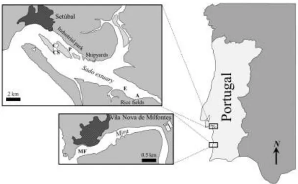 Fig. 2.1. Sediment collection sites of the Sado and Mira (reference) estuaries, termed C, CS and P (Sado  north); E and A (Sado south) and MF (Mira)