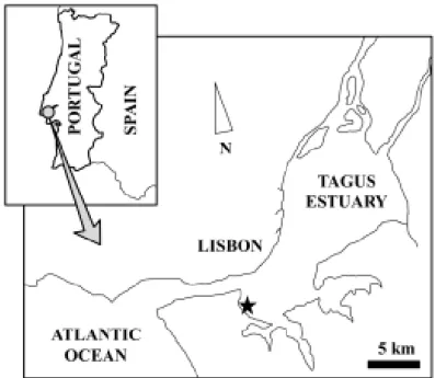 Fig. 2.1. Map of the study area pointing the harbour where dredging was performed (   )