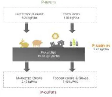 Figure 1.5. Average of total P inputs and outputs in agriculture in Portugal (2005-2008)
