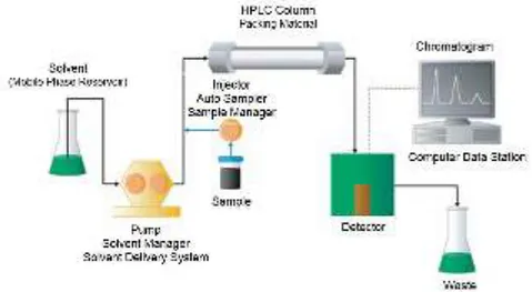 Figure 1.16. Schematic view of the different components of a HPLC system (from Waters [178])