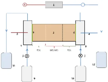 Figure 2.3. Schematic view of the electrokinetic cell set-up used with the agricultural soil: (1) DC power supply; 