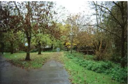 Fig. 3.9. The streamside walks: pleasant green areas in Thornbury   Source: Participant A03, photo-surveys