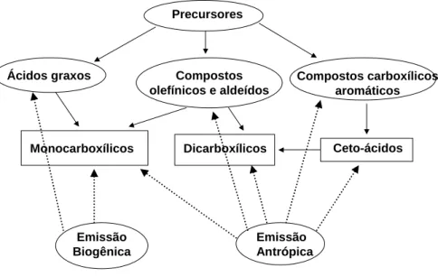 Figura 1 - Proposta de fontes para diferentes classes de ácidos orgânicos encontrados na atmosfera