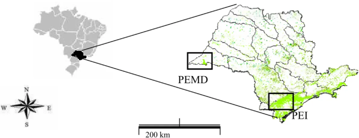 Figura 2 - Mapa do Estado de São Paulo, as áreas verdes são compostas de florestas, com os destaques   indicando os locais de coleta das amostras de água de chuva e aerossol