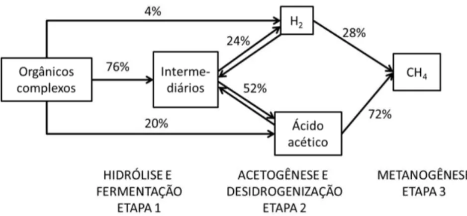 Figura  3.3  – Etapas do processo de degradação anaeróbia e distribuição percentual dos  compostos