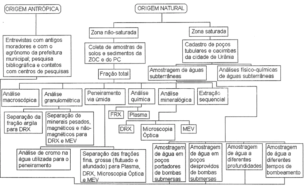 Figura  5:  Fluxograma  das  etapas metodológicas desenvolvidas  na  pesquisa