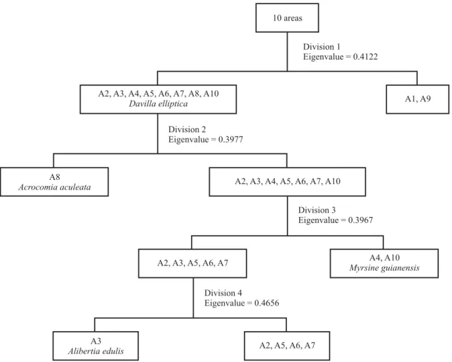 Figure  2.  Dendrogram  generated  by  divisive  classification  (TWINSPAN)  of  10  areas  of  rocky  outcrop  cerrado  surveyed  in Goiás State, Brazil