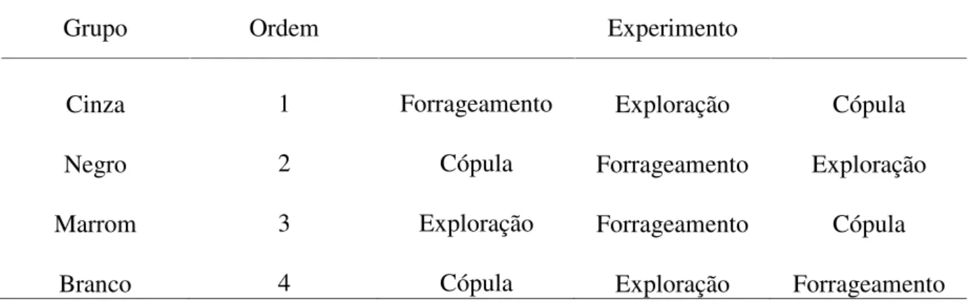 Tabela 1. Ordem de experimentos de cada um dos 4 grupos de Volatinia jacarina para avaliar presença de personalidades