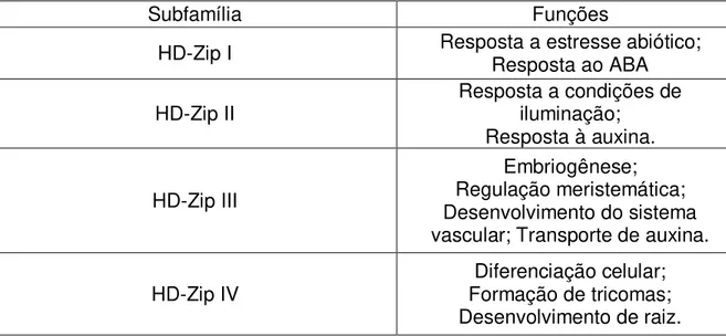 Tabela 1. Funções dos membros das subfamílias de genes HD-Zip 