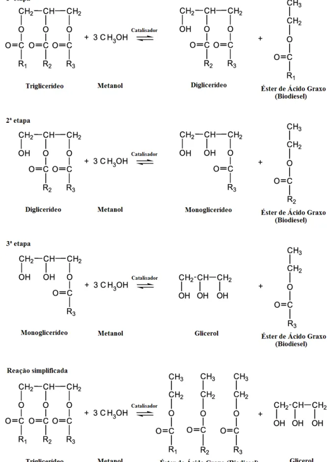 Figura 3.3 – Representação esquemática da reação de transesterificação do triglicerídeo com o  álcool metanol, utilizando um catalisador dando origem a um éster de ácido graxo (biodiesel) e 
