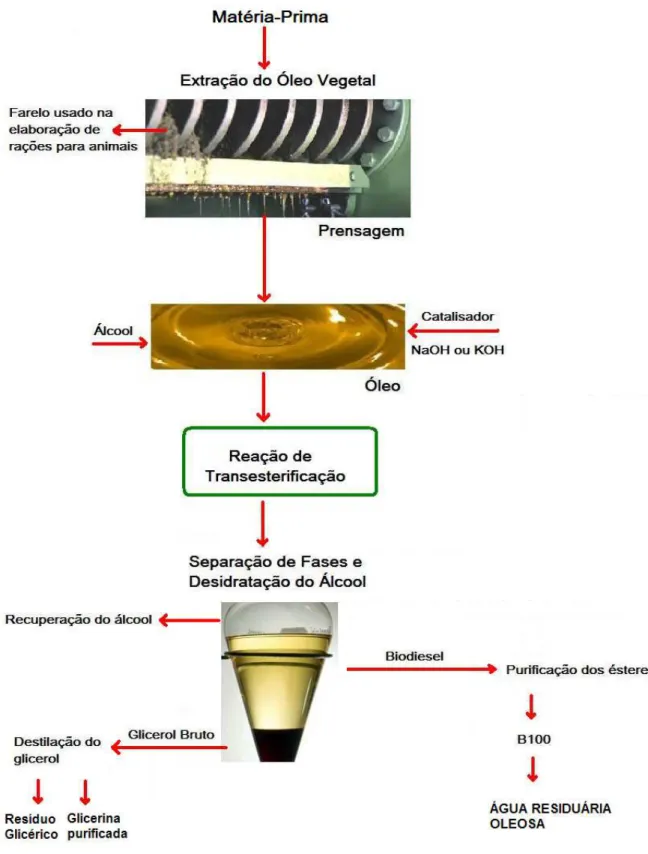 Figura 3.4 – Fluxograma ilustrativo da produção do biodiesel, glicerol e água residuária  oleosa usando catalise básica