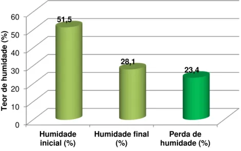 Figura 6.11: Teor de humidade no 7.º ensaio de bio-secagem em túnel 