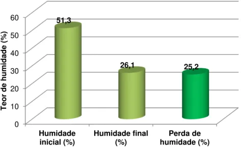 Figura 6.13: Teor de humidade no 9.º ensaio de bio-secagem em túnel 