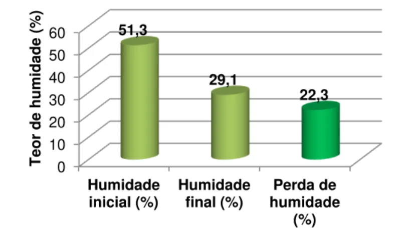 Figura 6.5: Teor de humidade no 1.º ensaio de bio-secagem em túnel 