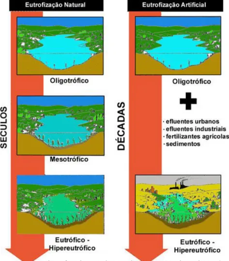 Figura 3.4 – Diferenças entre a eutrofização de carácter natural e artificial   Fonte: UFES-DERN, 2001 citado por Silva, 2008 