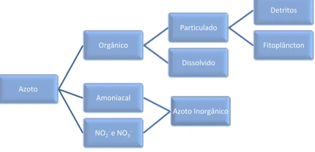 Figura 3.8 – Principais componentes do azoto  Fonte: adaptado de Thomann &amp; Mueller, 1987 