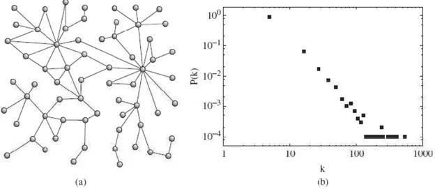 Figura 2.4: Rede livre de escala, (a) exemplo de rede (b) distribuição média do grau para 10 redes com 10.000 vértices cada e considerando M = 5, onde M é número de arestas (parâmetro do modelo)