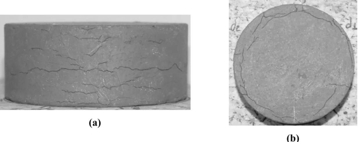Figura 4.10 – Condição do Cp k01-07 após dois ciclos de umedecimento e secagem, (a)  vista lateral, (b) vista superior