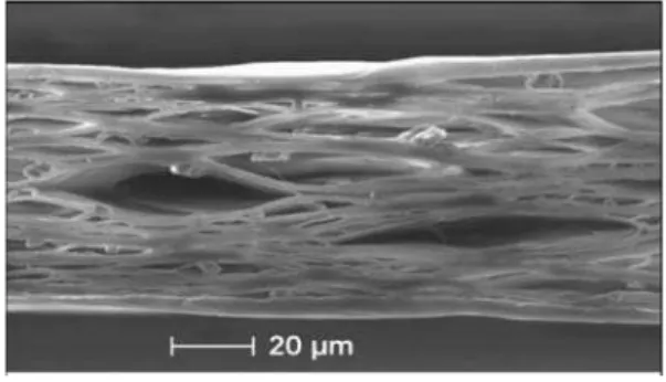 Figura 1.1: Imagem microsc´opica de um filme de polipropileno de 70 µm de espessura (HILLENBRAND &amp; SESSLER, 2004).