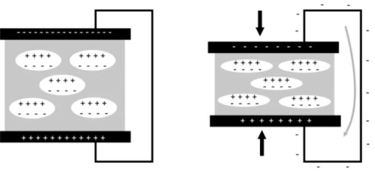 Figura 1.10: Representa¸c˜ao do efeito piezoel´etrico em pol´ımeros porosos (GERHARD- (GERHARD-MULTHAUPT, 2002).