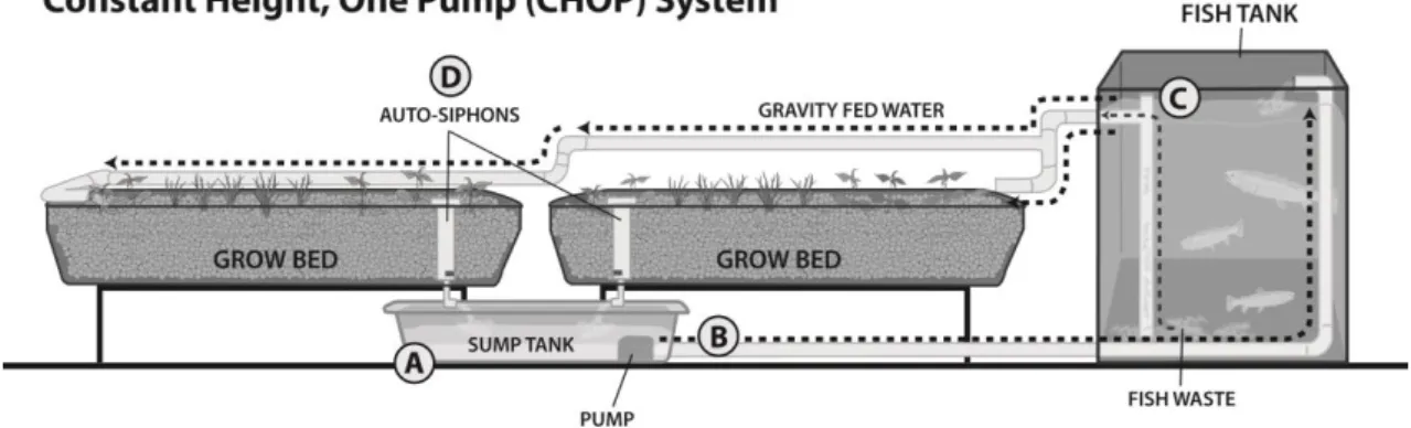Figure 2.3. Constant Height One Pump  System. Adapted from Aquaponic Gardening: 