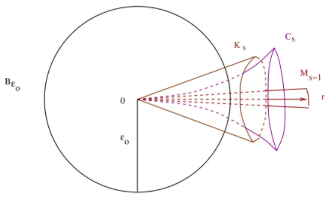 Figura 3.4: O conjunto C s e o cone K s .