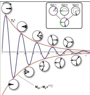 Figura  5:  Sequencia  de  pulso  de  90º  e  180º  são  aplicados  ao  vetor  de  magnetização,  produzindo  um  grande  sinal,  o  &#34;spin  echo”  (Baert    et  al,  2007)