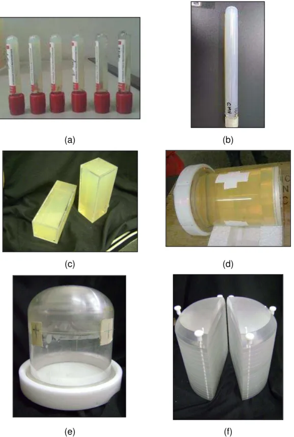 Figura 14: Objetos simuladores utilizados nesse trabalho. (a) tubos de vidro  de  5  ml;  (b)  tubos  de  vidro  de  50  ml;  (c)  paralelepípedo  de  PPMA;  (d)  cilindro de PMMA; (e)  objeto simulador de cabeça (f)