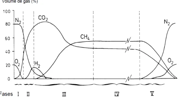 Figura 15 - Variação da composição do biogás (Cabeças, s.d.) 