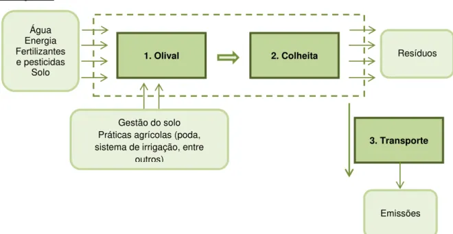 Figura 2.7 - Fase agrícola do processo de produção de azeite (Adaptado de Iraldo et al., 2014)