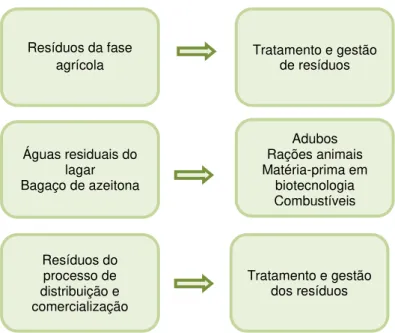 Figura 2.10 - Fase de tratamento dos resíduos do processo de produção de azeite (Adaptado de Iraldo et al.,  2014)
