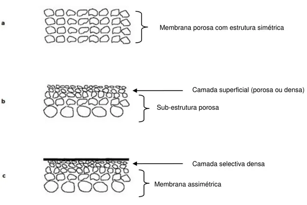 Figura 2.2 | Representação esquemática da estrutura de diferentes membranas: a) membrana  simétrica; b) membrana assimétrica; c) membrana compósita (Adaptado de Baker, 2004) 
