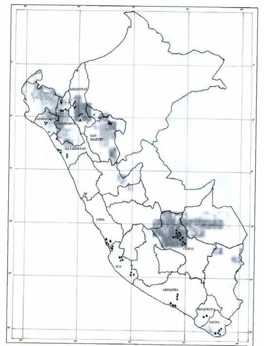 Figura 1- Localização dos campos da coleta de amostras para a determinação dos ácaros no Peru